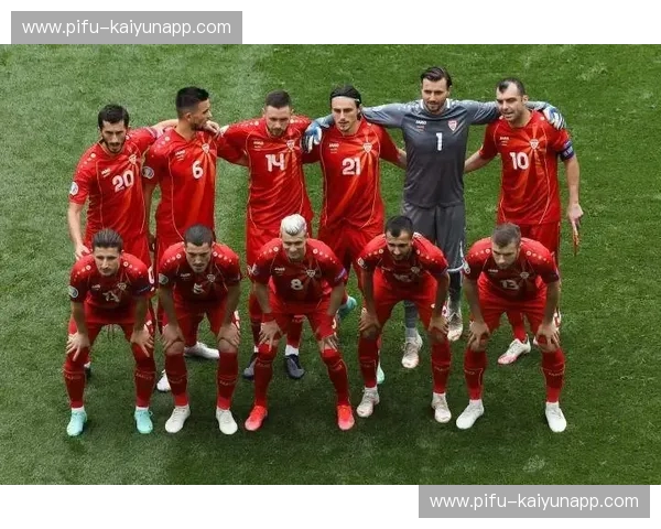 冰与火的交响：芬兰vs列支敦士登，一场跨越山海的足球对话